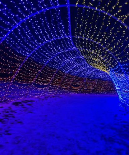 Winter Lights at Maple Street Park