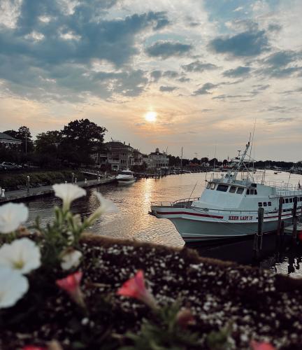 Lewes-Rehoboth Canal