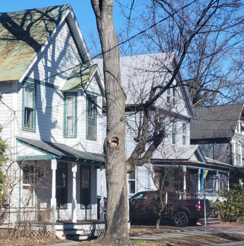 Three houses side by side on George St in early spring.