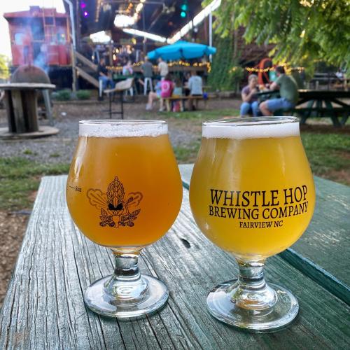 Two beers placed on a picnic table at Whistle Hop Brewing