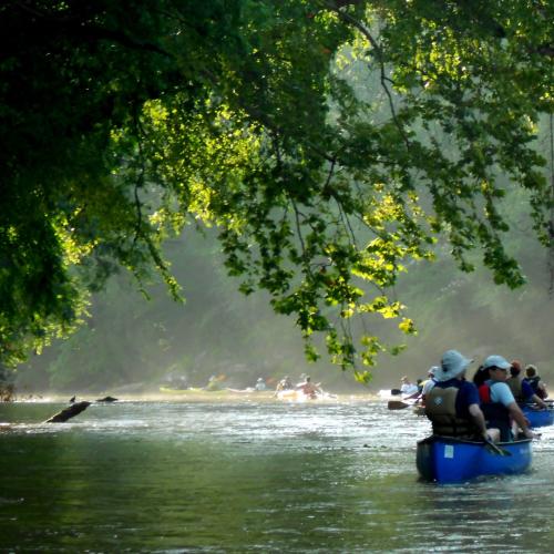 Big Dogs on the River