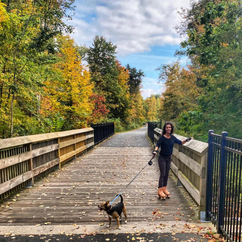 farmington river trail