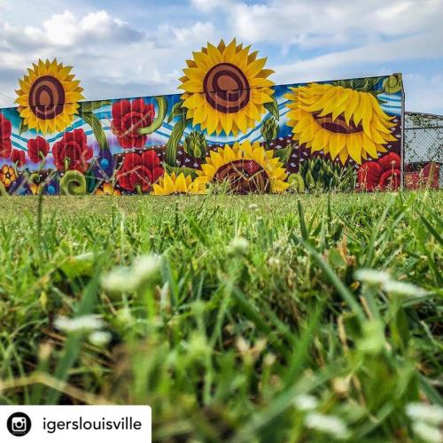 Sunflower mural on a wall in the NoCo Arts and Cultural District