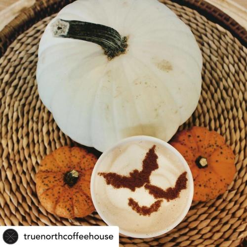 True North Coffee House really pumpkin spiced it up this fall! 📸: truenorthcoffeehouse