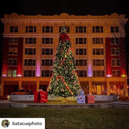 Bicentennial Park all spruced up for the holidays in downtown New Albany. 📸: Batacusphoto