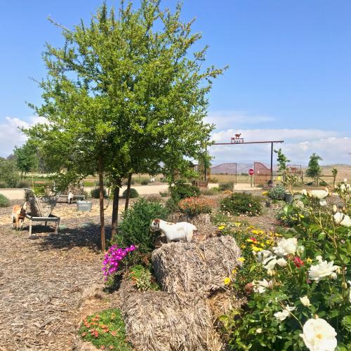 blue sky behind farm landscaping