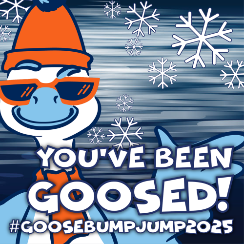 goosed