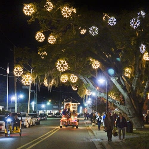 Snowflakes in the Bay