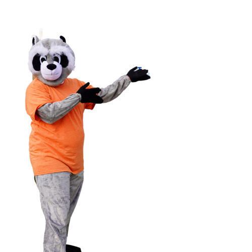 A raccoon dressed up in a orange shirt with arms stretched out