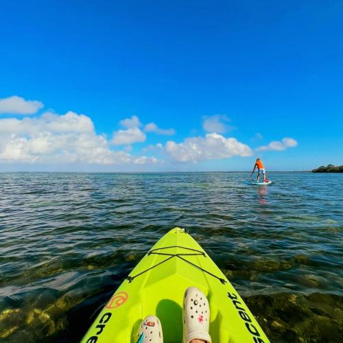 POV Kayaking shot on the clear waters of St. Joseph Bay