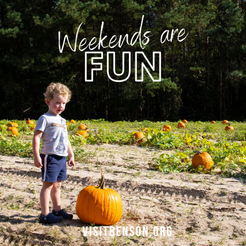 Weekends are Fun in Benson, NC, like picking pumpkins at Smith's Farm.