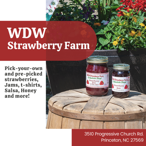 WDW Strawberry Farm located in Princeton, NC.