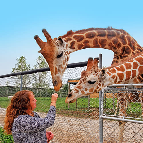 NTTW Tourism Tuesday
