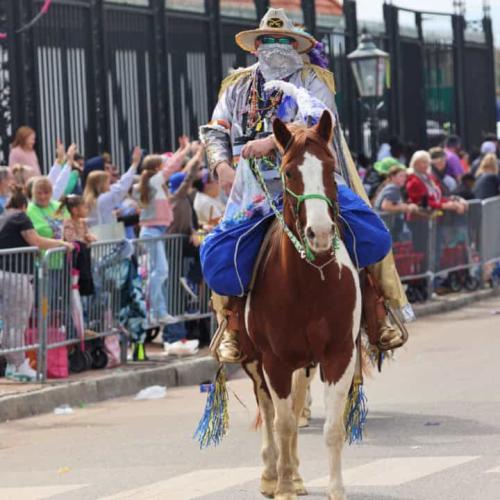 Mardi Gras man in a costume riding a horse