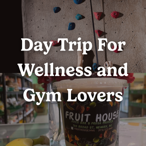 DNFTH - Day Trip for Wellness and Gym lovers