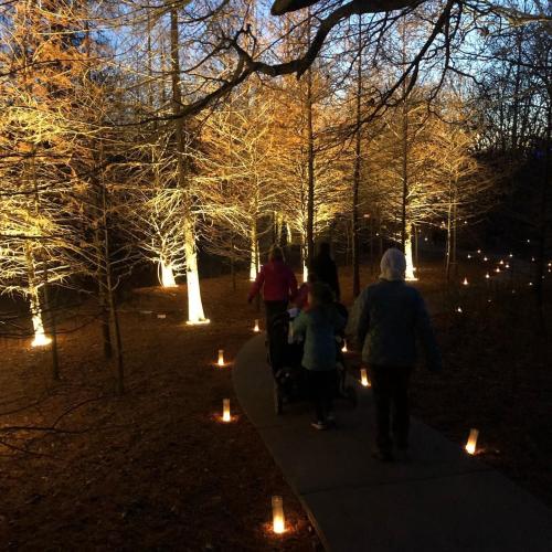 Luminary Walk at the OP Arboretum