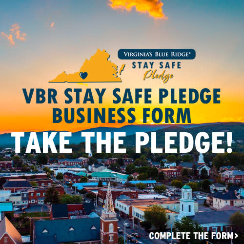 VBR Stay Safe Pledge Business Form
