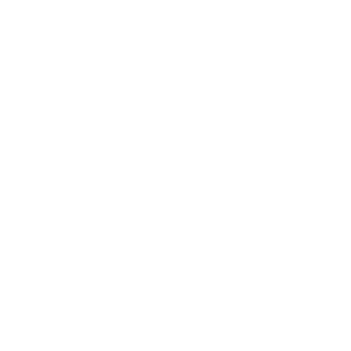 Dynastar logo