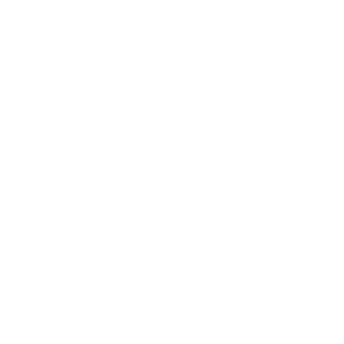 Life Time Logo