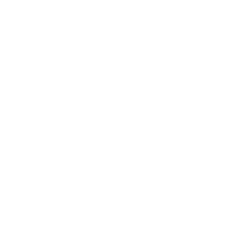US Ski logo