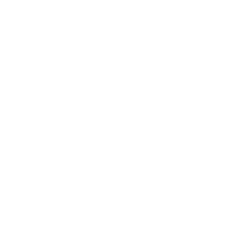 Cotopaxi logo