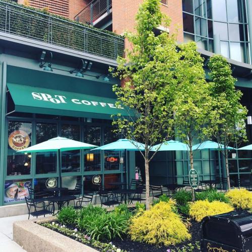 Outdoor seating in front of Spot Coffee with green umbrellas and trees