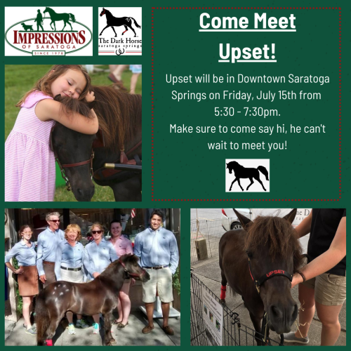 Multi-pic poster showing Upset the  Horse with appearance info