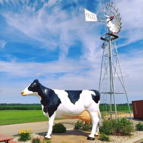 Feltz dairy store cow statue with sign in the background.