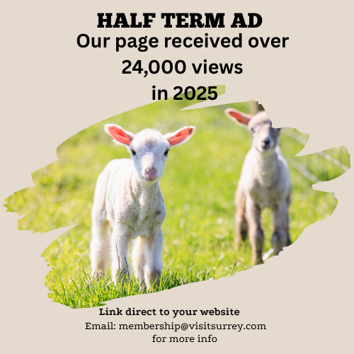Half Term Advertsing
