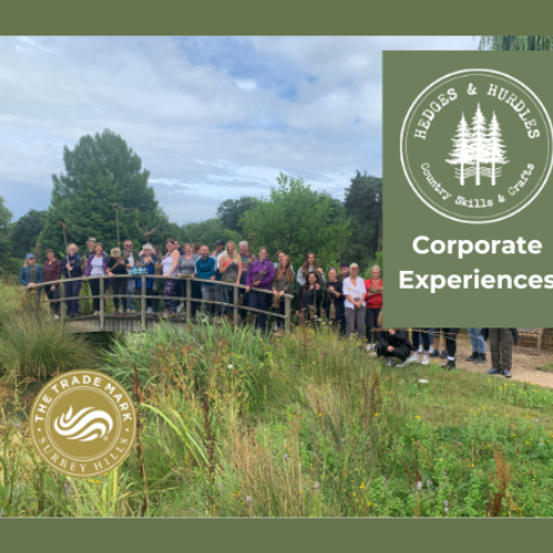 Hedges & Hurdles Corporate Experiences