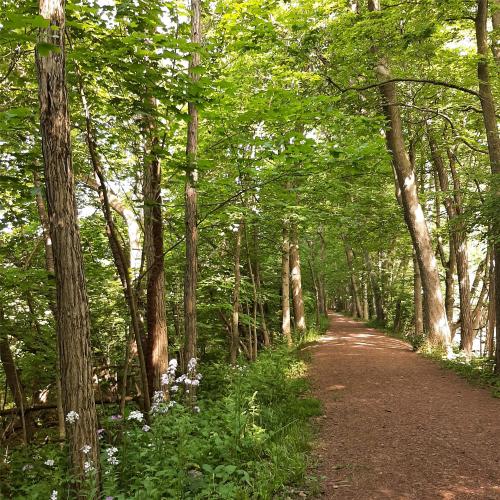 Watsontown Towpath