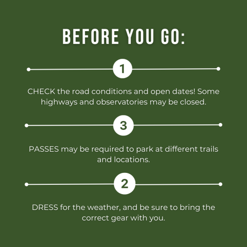 Before You Go_Nature