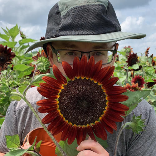 Man holding sunflower
