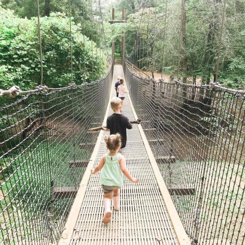 Anne Springs Swinging Bridge