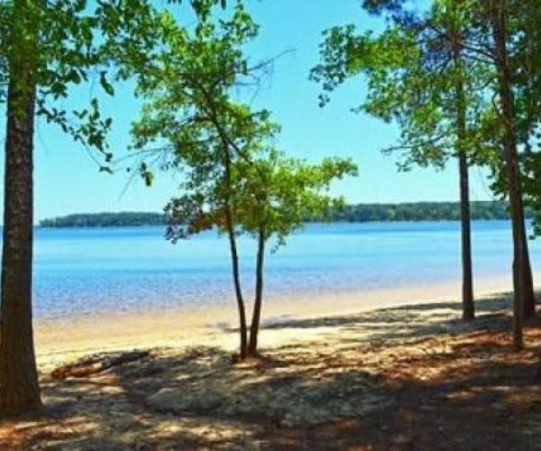 Rent a Log Cabin at Mistletoe State Park