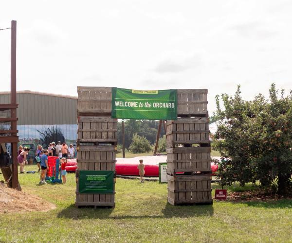 Entrance to Scott’s Orchard with a “Welcome to the Orchard” sign, apple trees, and families enjoying activities on the farm.