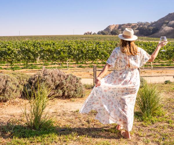 Salinas Valley Vineyard River Road Wine Trail