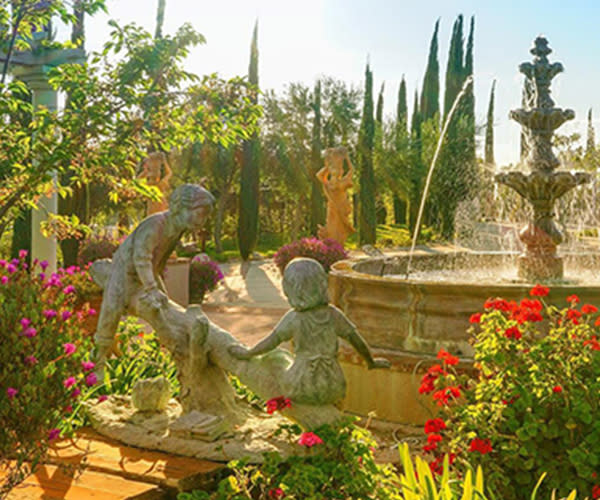 Garden at Mount Palomar