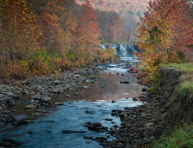 Fall foliage surrounds a running creek in Devil's Den State Park.