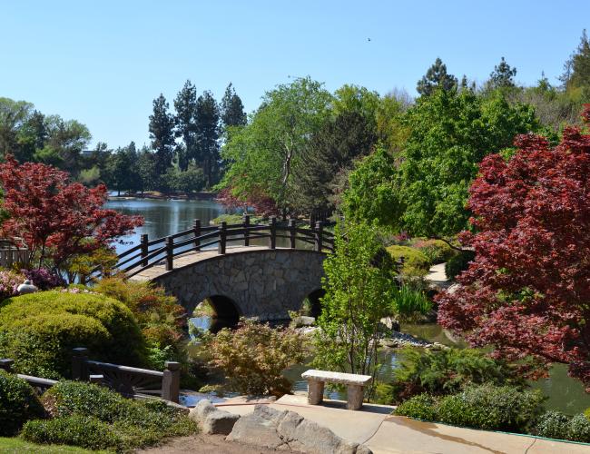 Shinzen Garden's lake, bridge and plants