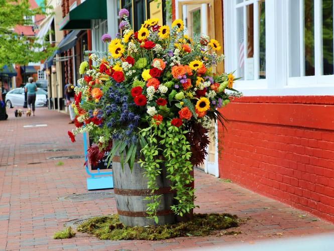 May Day Display outside Harvest Wood Grill + Tap in Annapolis, MD. Photo from Sue Steinbrook