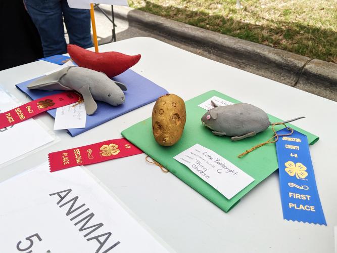 What's that Yam Thing? entries for the Smithfield Ham & Yam Festival.