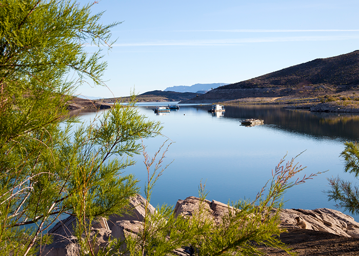 Elephant Butte Lake State Park