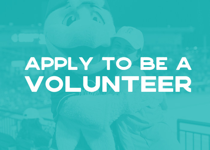 Volunteer Opportunity