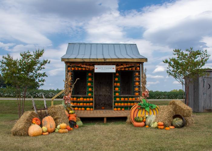 Tate Farms