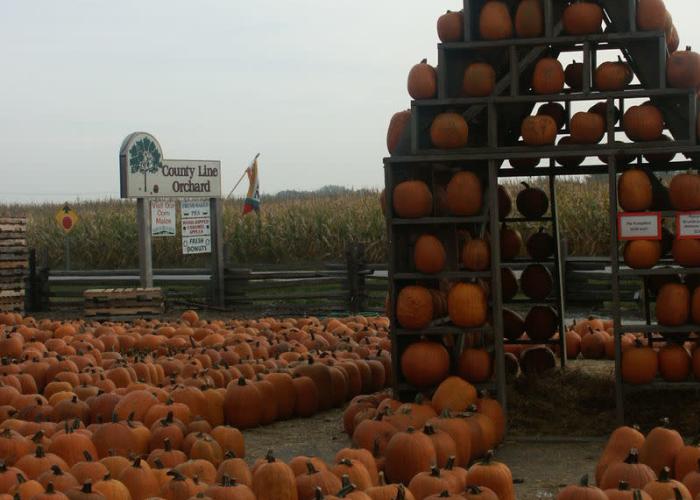 County Line Orchard