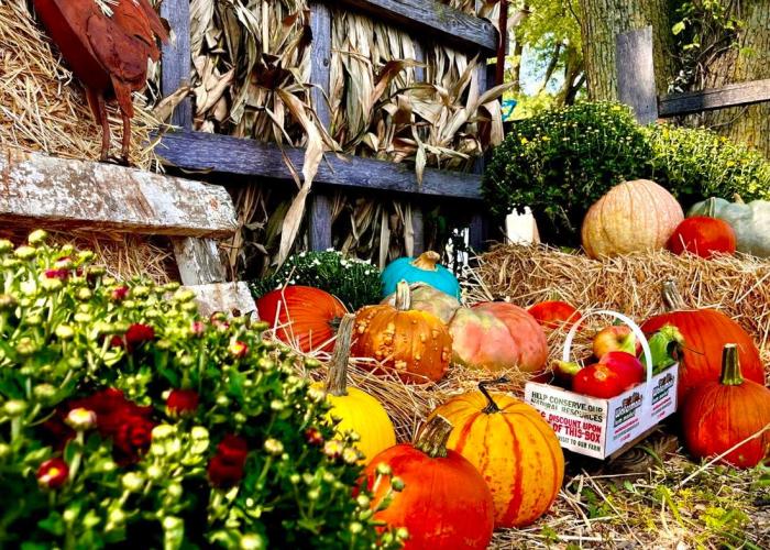 watermans family farm