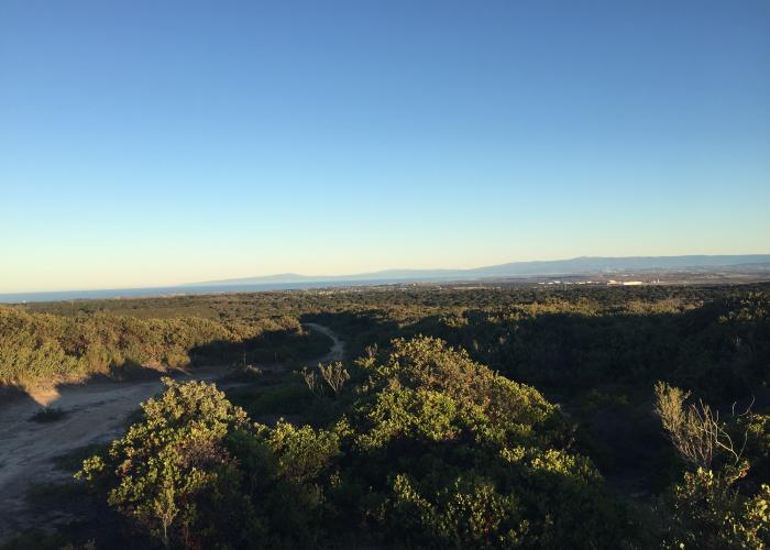 Fort Ord Jerry Smith Corridor