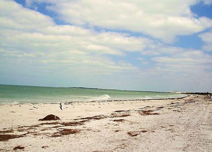 Caladesi Island