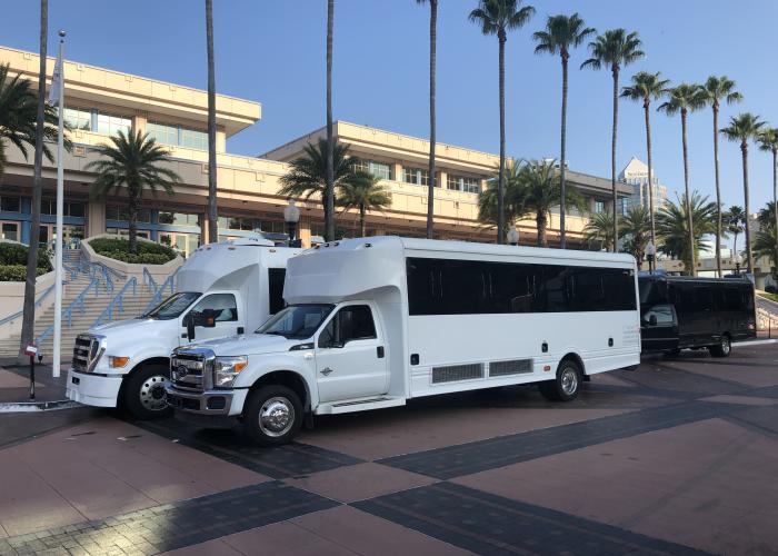 Mini Buses